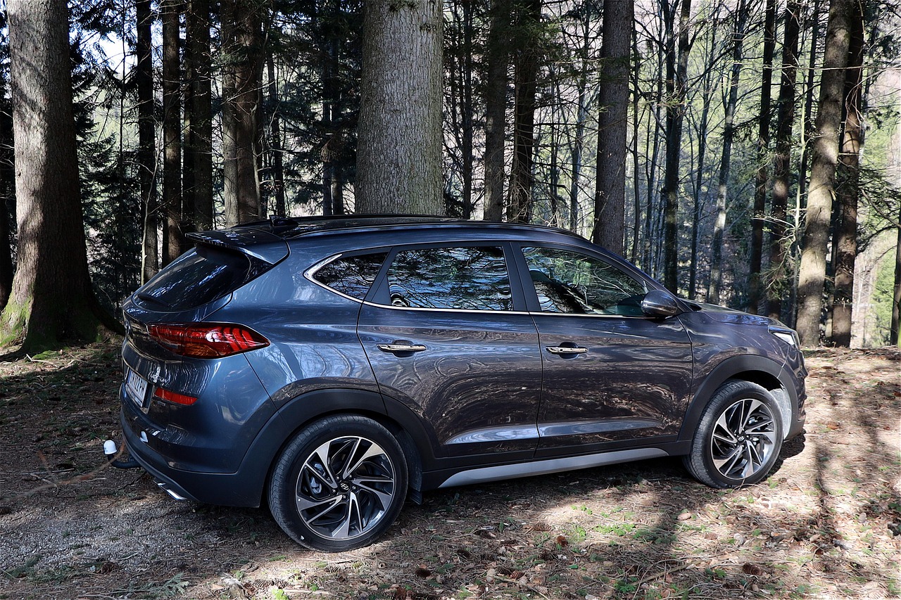 automobile, hyundai, dynamic, suv, suv vehicle, nature, vehicle, forest, trees, the shade, 4wd, all wheel drive, hyundai tucson, offroad, reflection